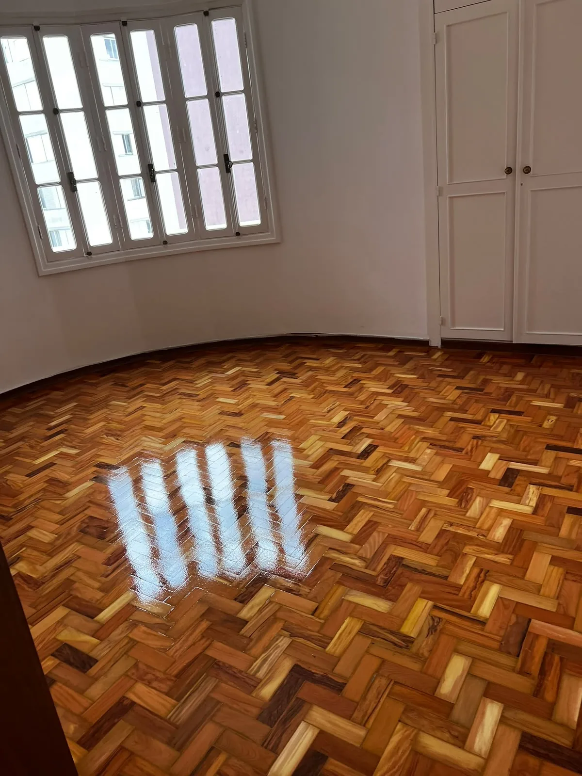 Piso de tacos em padrão espinha de peixe restaurado, em sala com parede curva